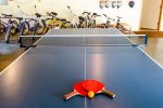 Ping Pong in the garage